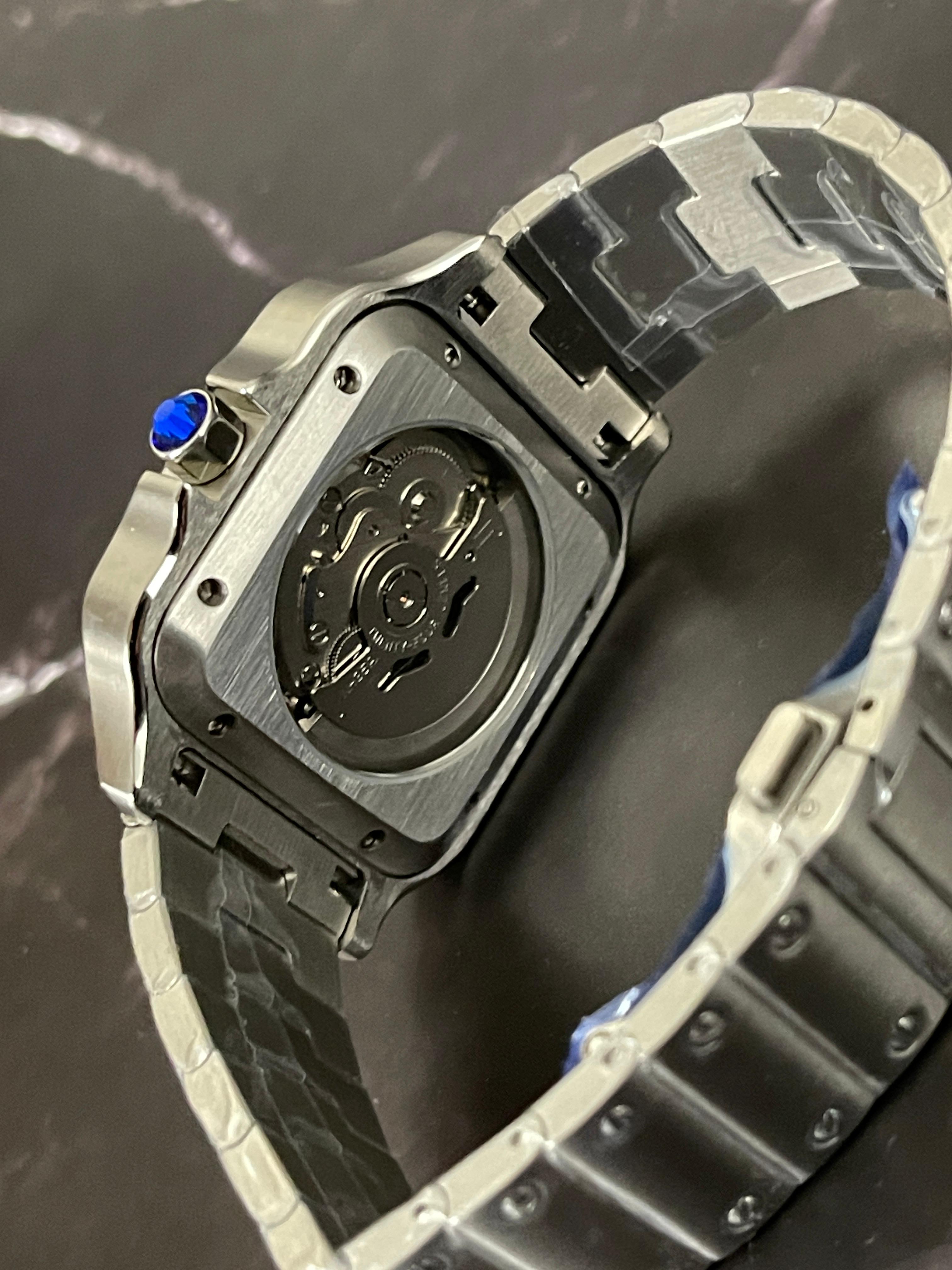 Seiko mod (Santos)
