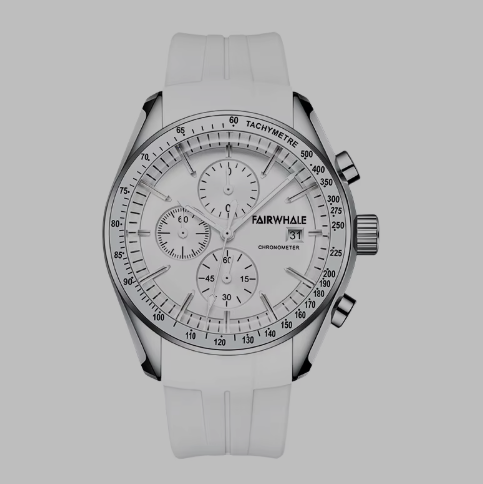 Fairwhale summer watch