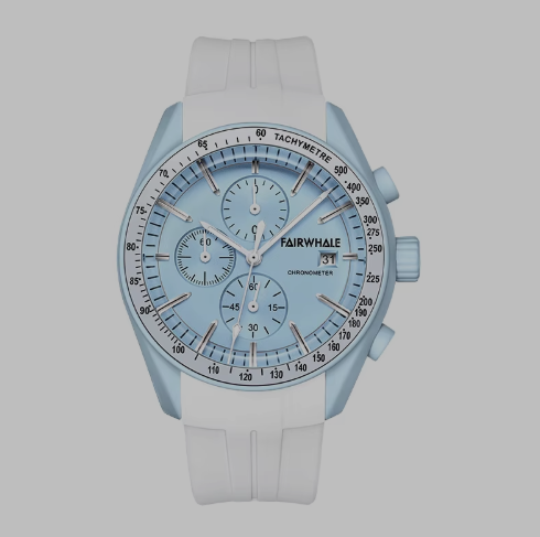 Fairwhale summer watch